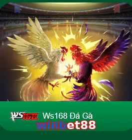winbet88